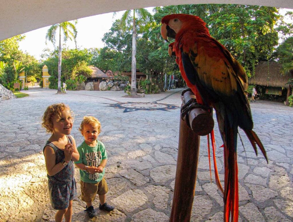 The Brewer kids, from DamilyCanTravel.com, are excited to see parrots up close at the Xcaret park near Playa del Carmen.
