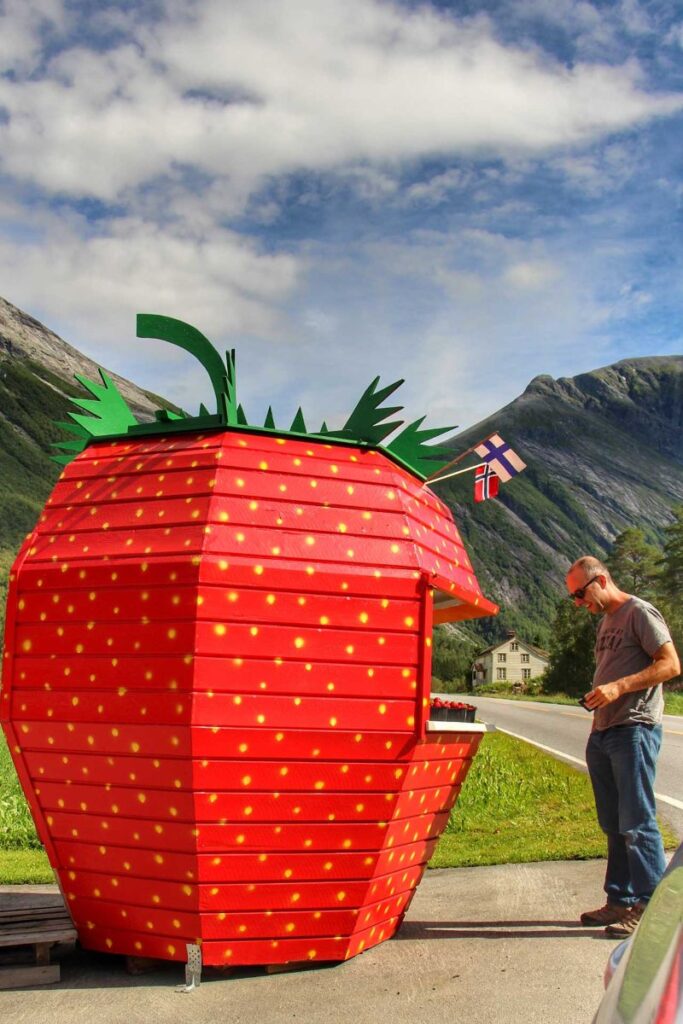 Dan Brewer, owner of the Family Can Travel blog, buys fresh strawberries from a seller in Strawberry Valley, near Alesund, Norway.