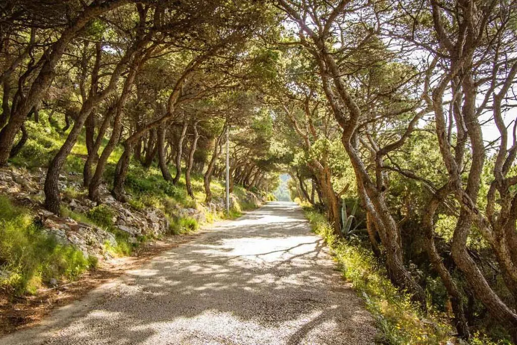 Hiking Croatia with kids - Hvar Town to Milna Beach