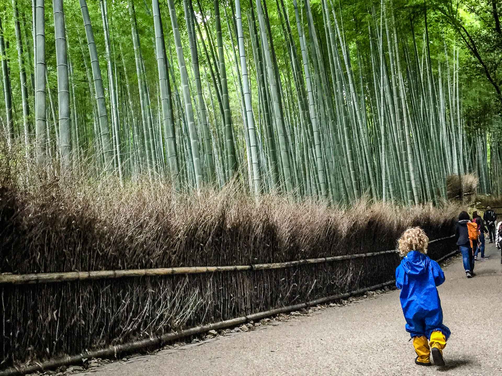Arashiyama Bamboo Forest with Kids
