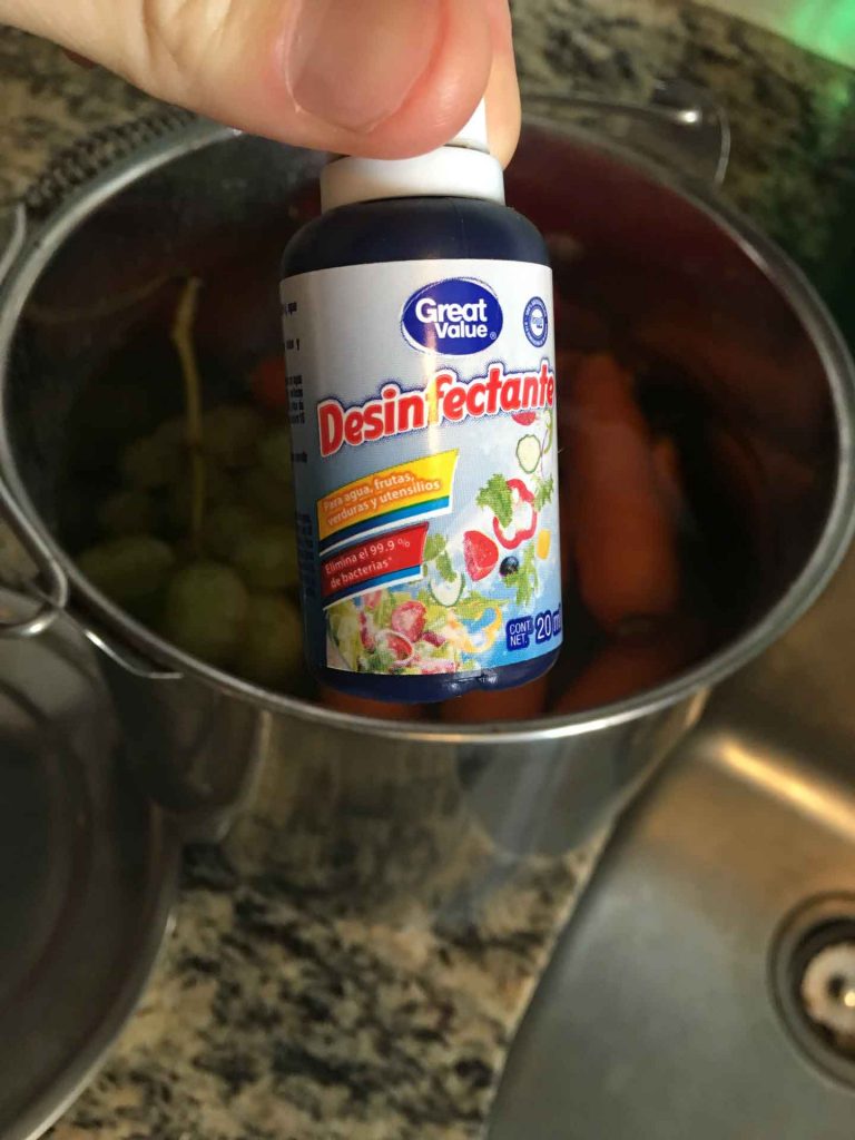 Are you Afraid of the Food & Water in Mexico? Family Can Travel