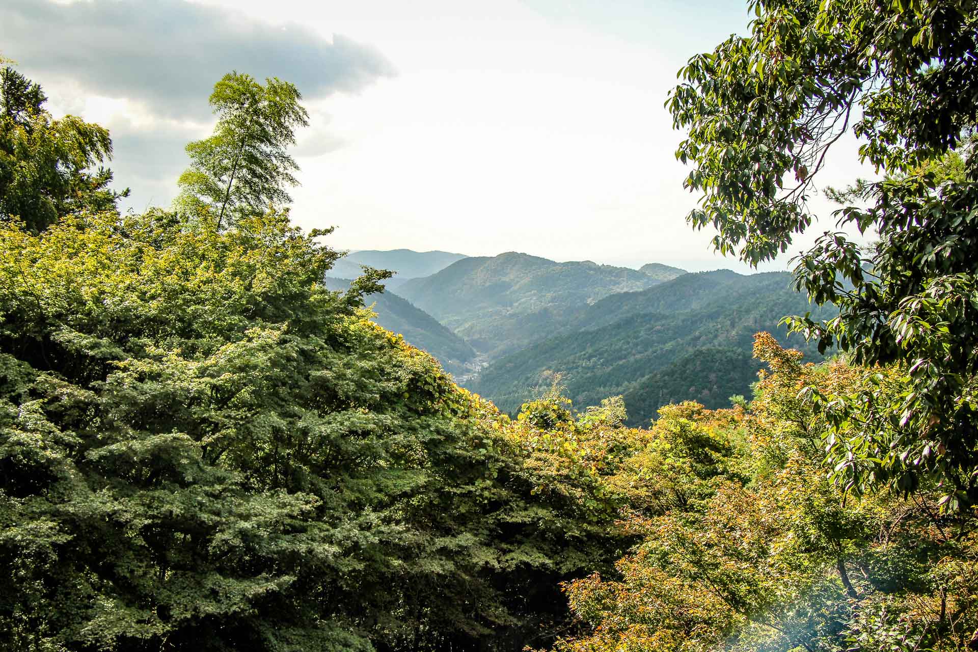 Hike to Daigoji Temple Kyoto Japan