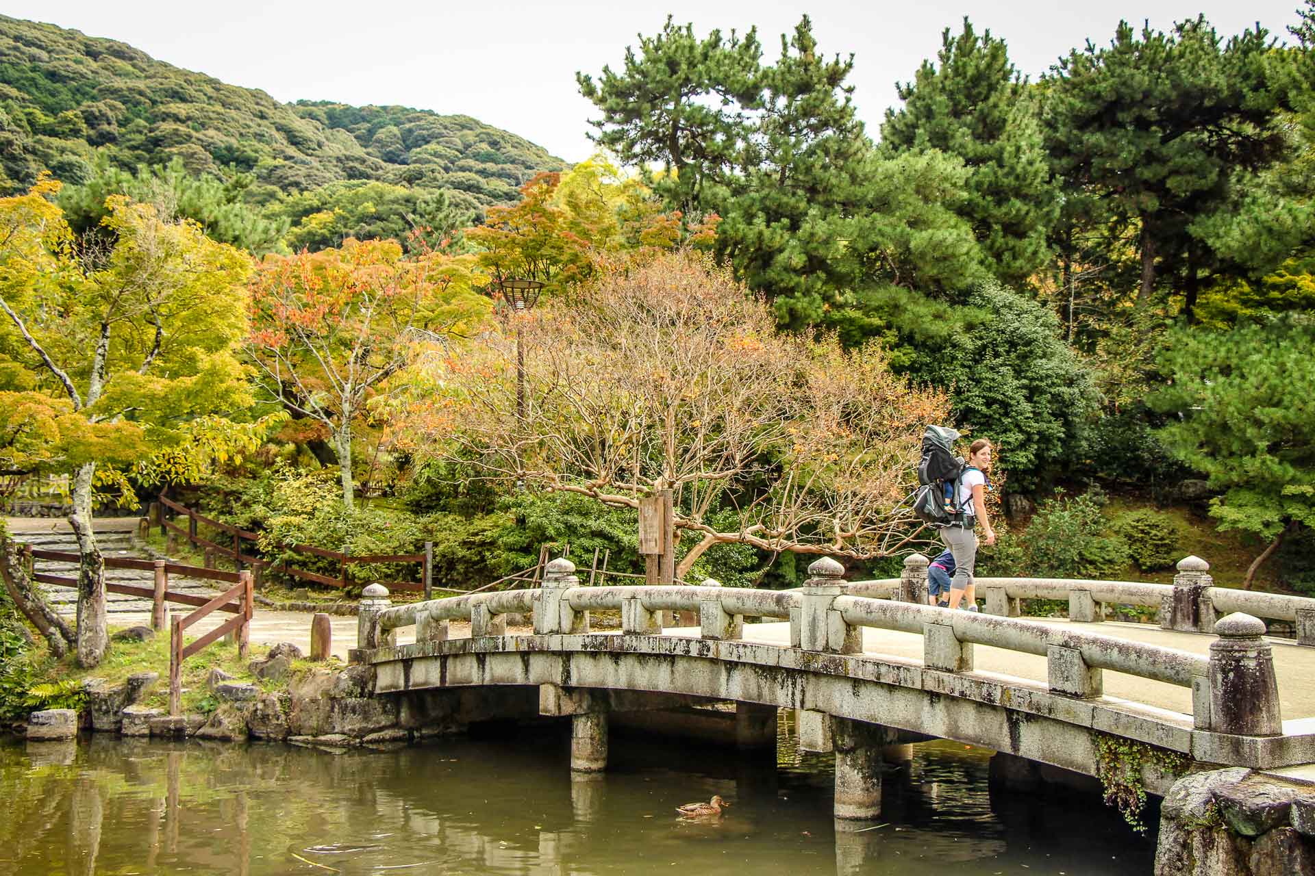 Maruyama Park Kyoto Japan