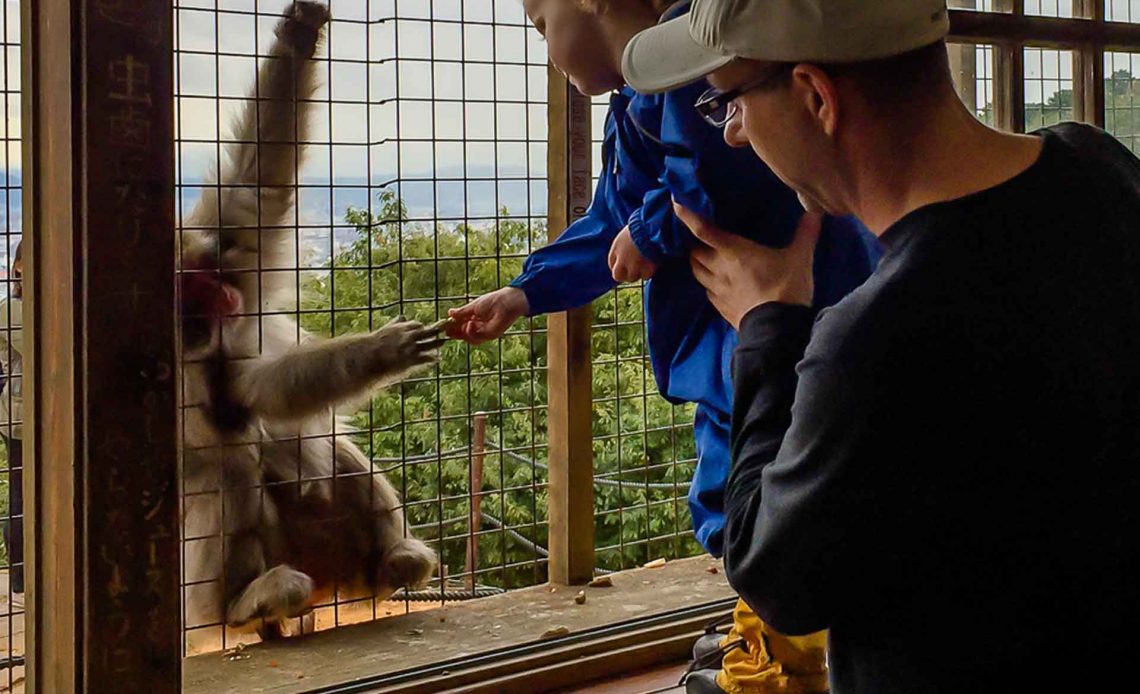 Monkey Park Iwatayama with children