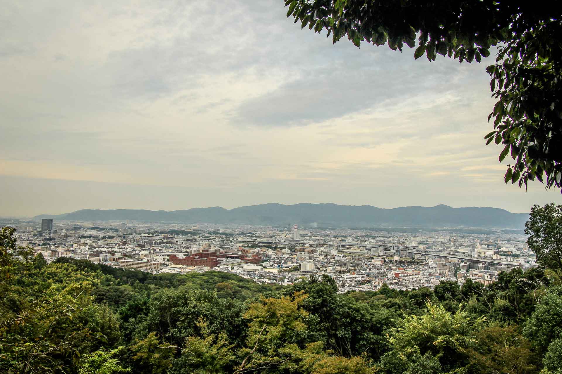 View from Fushimi Inari Kyoto