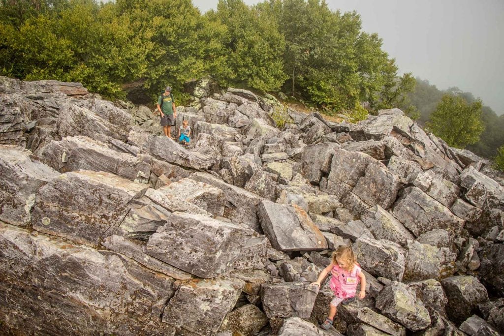 6 Kid Friendly Hikes in Shenandoah National Park Family Can Travel