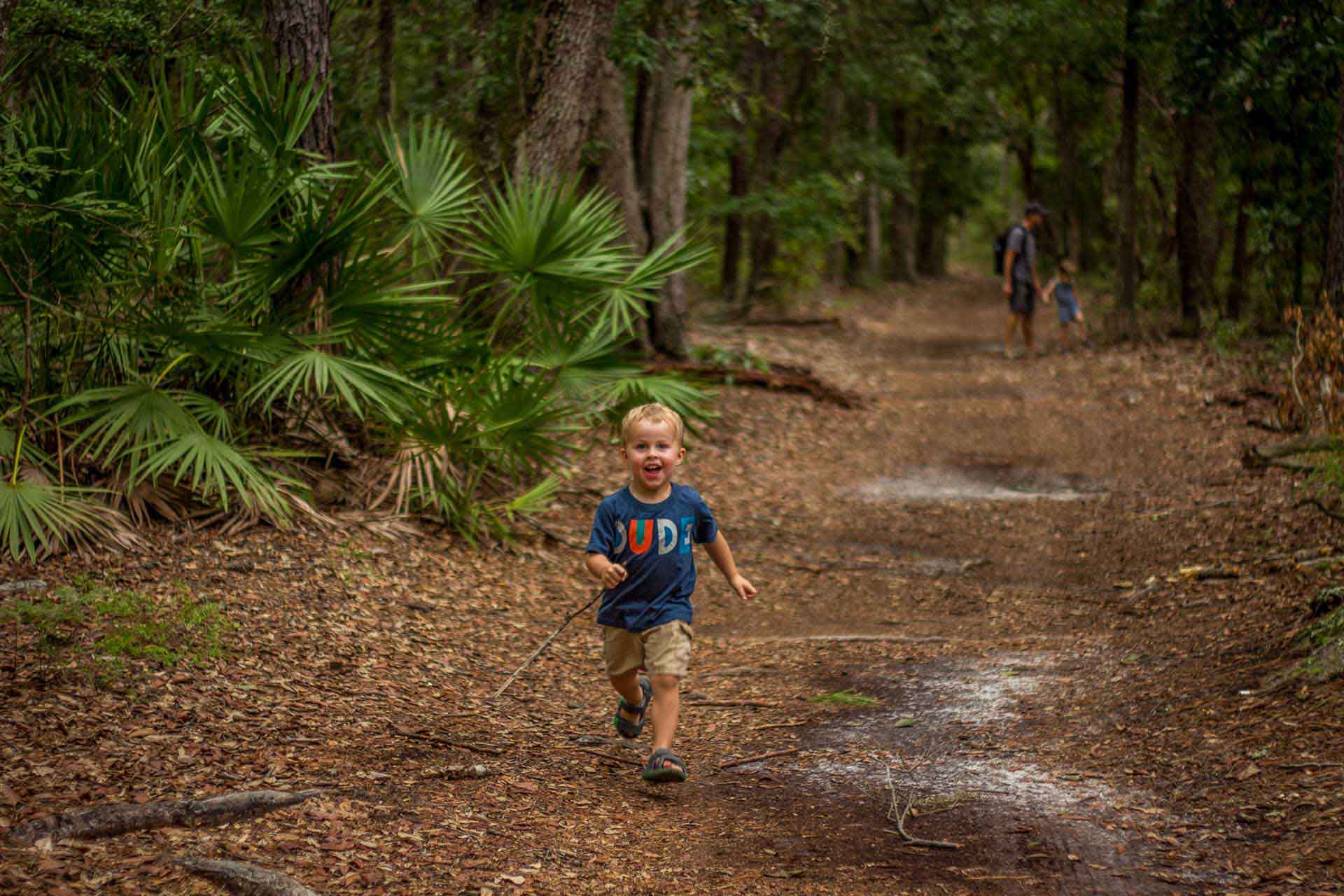 Family Can Travel - things to do in savannah ga with kids
 - Enjoying a short hike at Wormsloe Historic Site