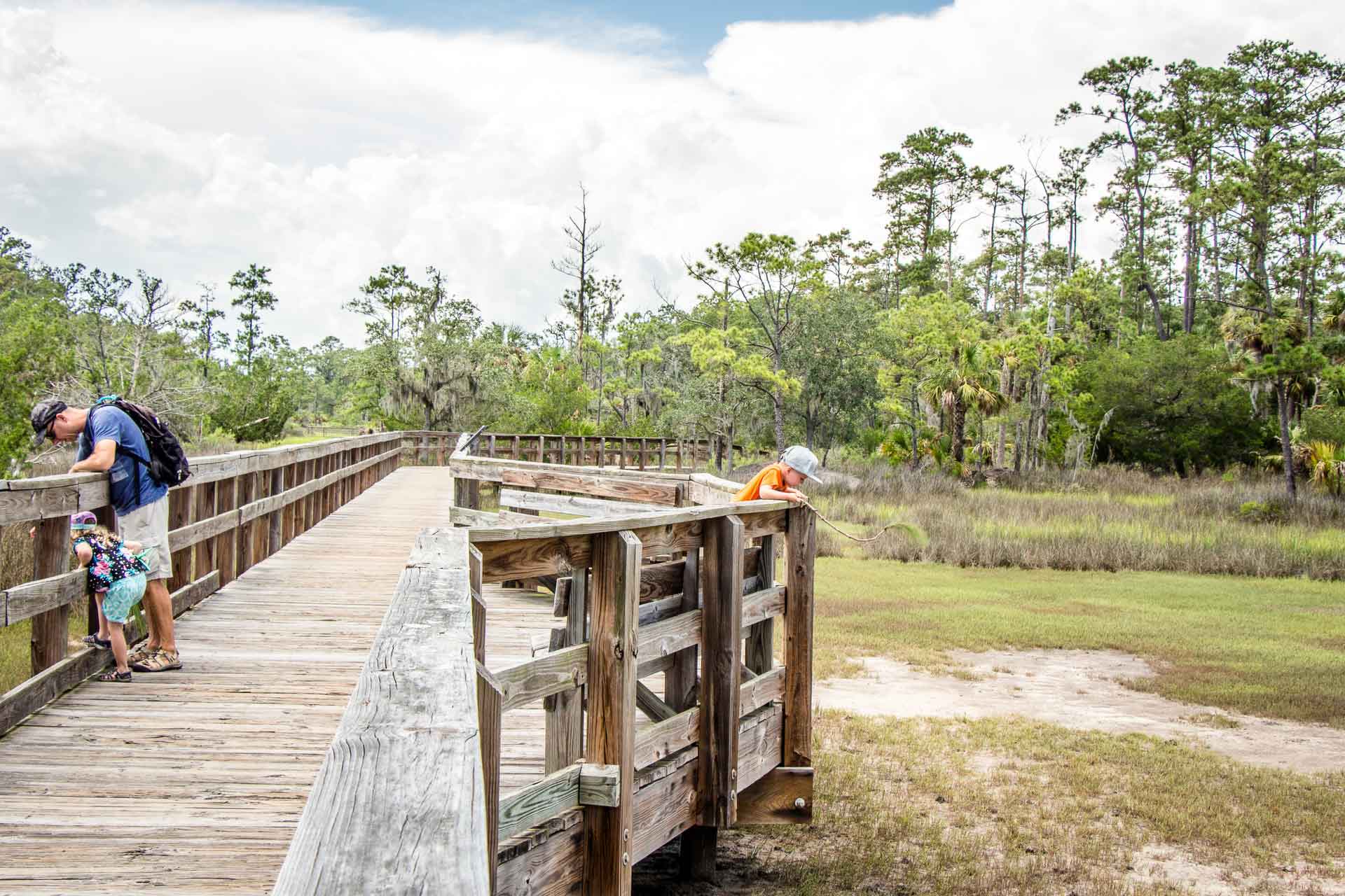 Family Can Travel - hiking in Savannah with Kids - Looking for Fiddler Crabs at Skidaway State Park
