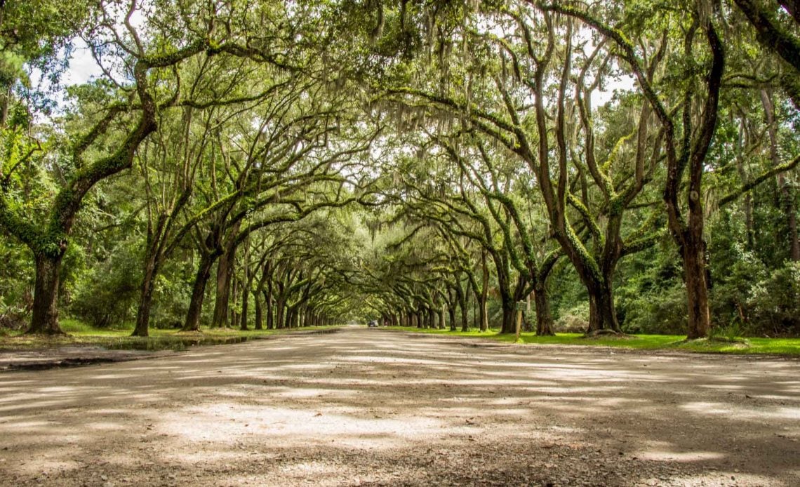 Family Can Travel - 2 Days in Savannah with Kids - Wormsloe Historic Site - Long Row of Oaks and Spanish moss - Feature Image