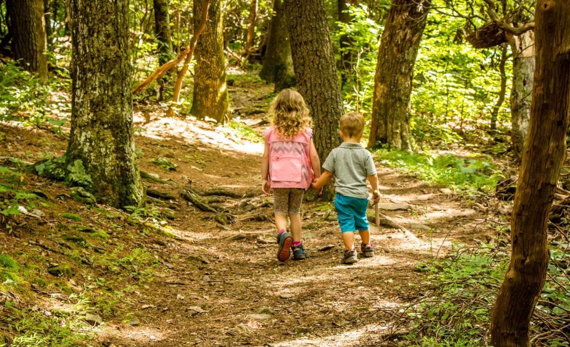 Family Can Travel - Family Friendly Hikes Along the Blue Ridge Parkway - Fallingwater Cascades