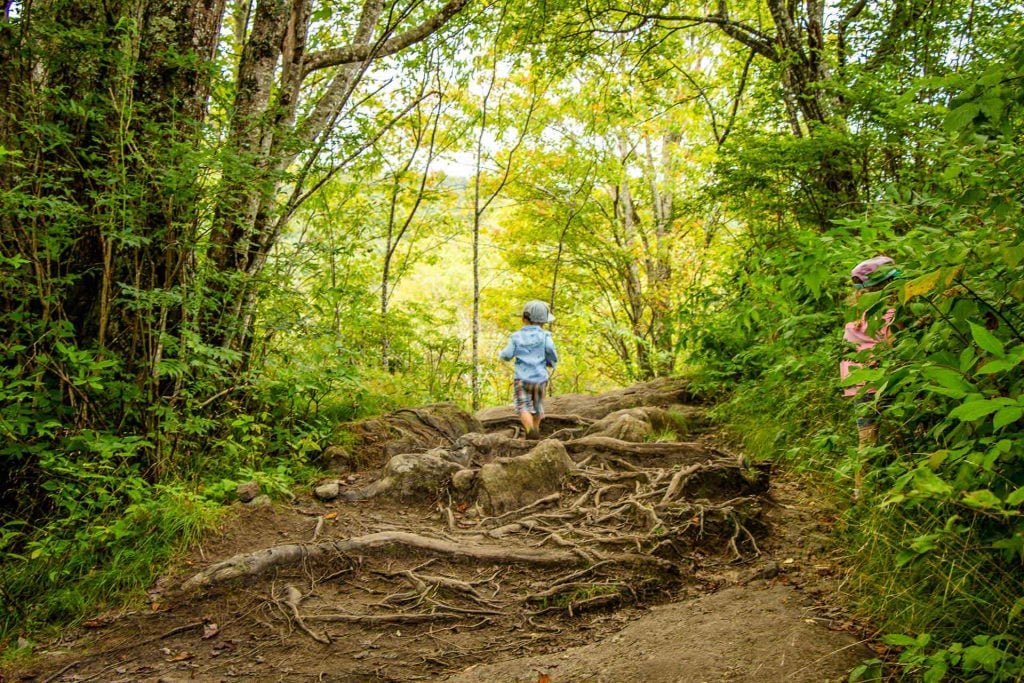 Family Can Travel - Family Friendly Hikes Along the Blue Ridge Parkway - Graveyard Fields - looking for berries