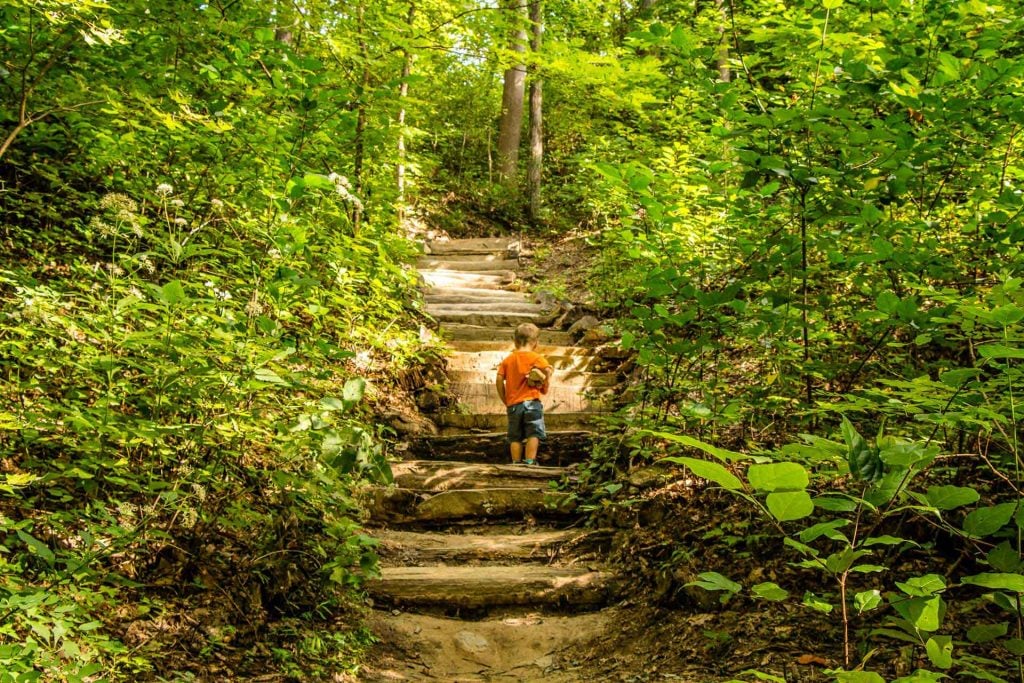 7 Kid-Friendly Hikes Near Asheville, NC - Family Can Travel