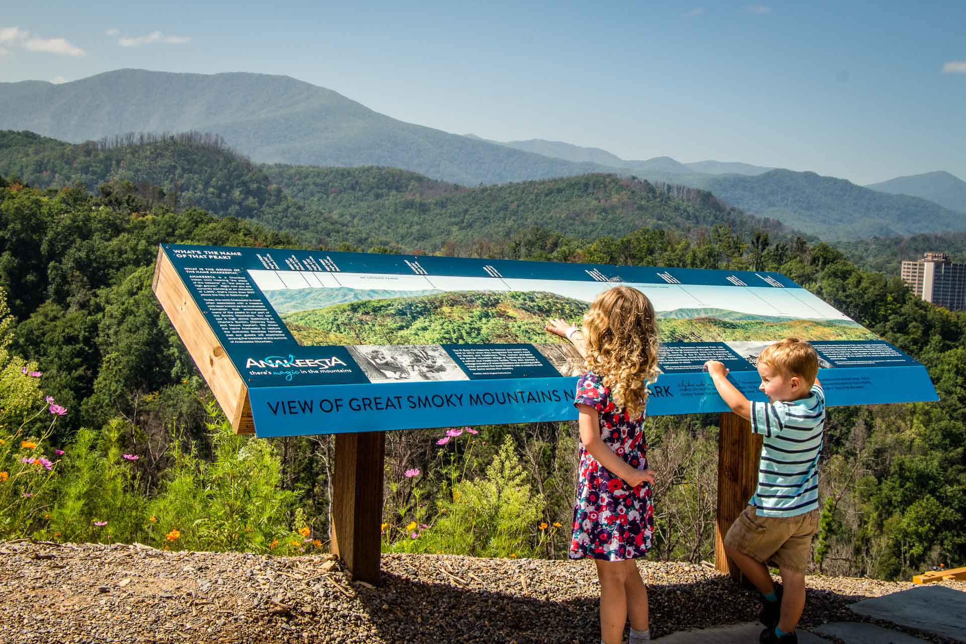 Best hikes in deals the smokies for families