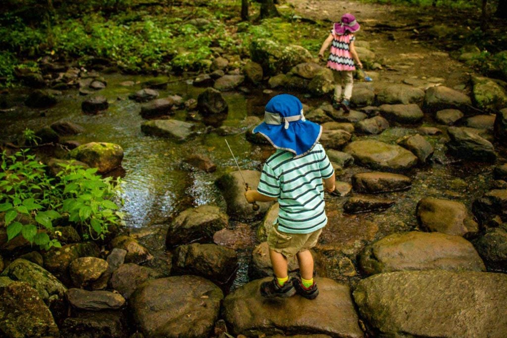 6 Kid Friendly Hikes in Shenandoah National Park Family Can Travel