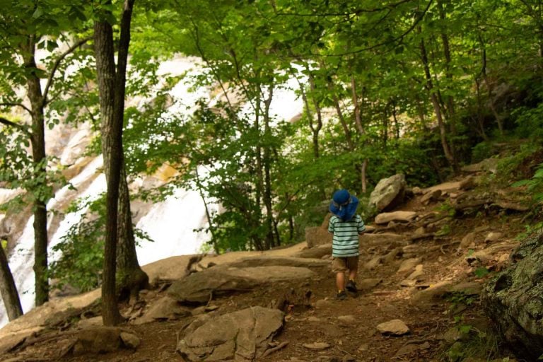 6 Kid Friendly Hikes in Shenandoah National Park Family Can Travel