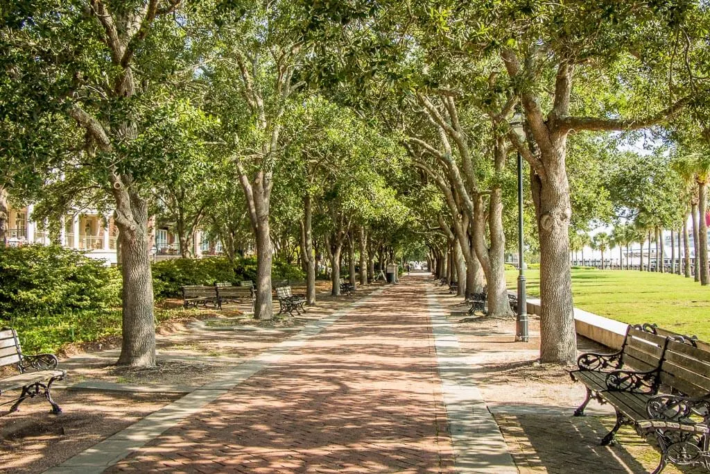 where to go in Charleston with kids