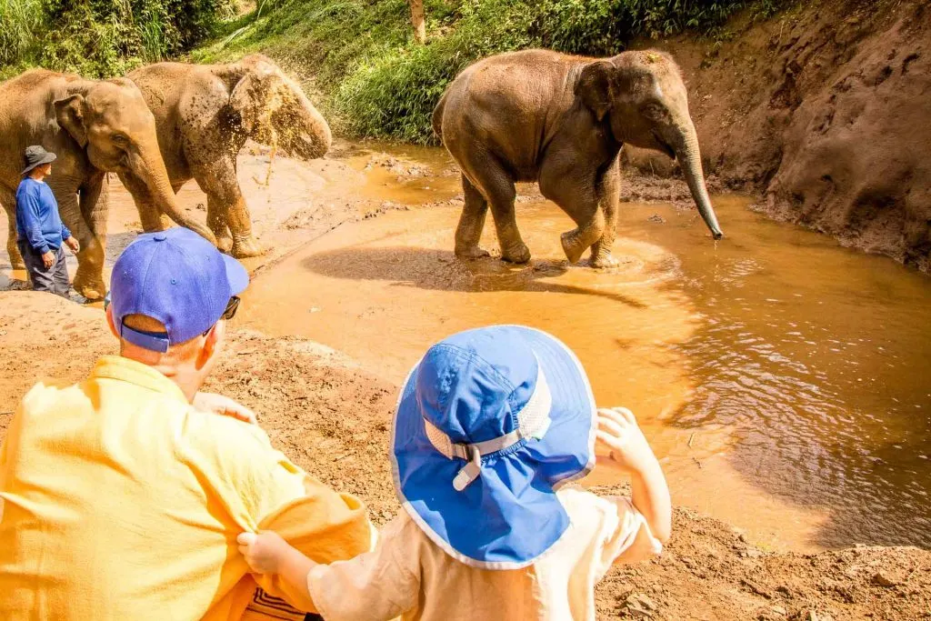 Chiang Mai Elephant Nature Park with toddler