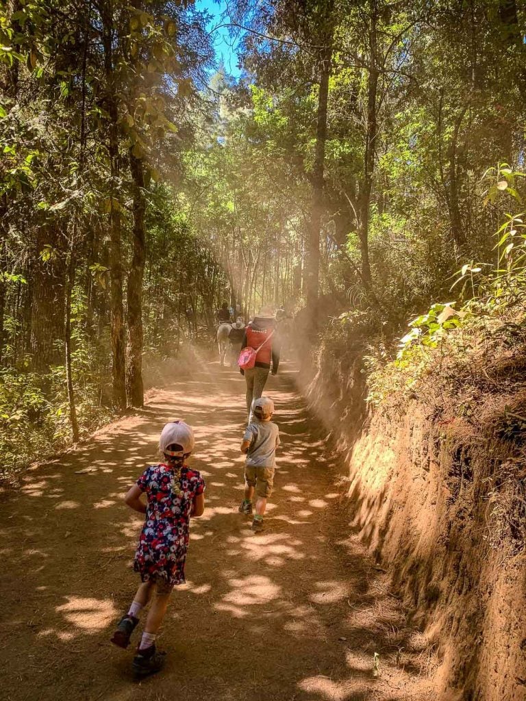 Hiking at Piedra Herrada Sanctuary Valle de Bravo Mexico