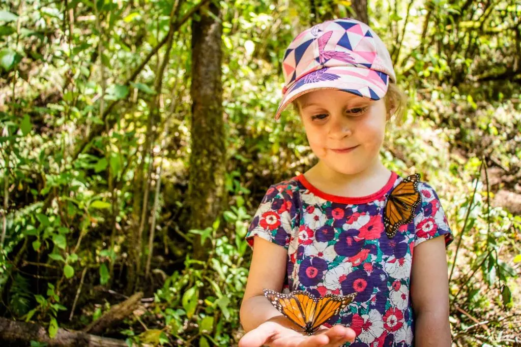 Valle de Bravo Butterflies with kids