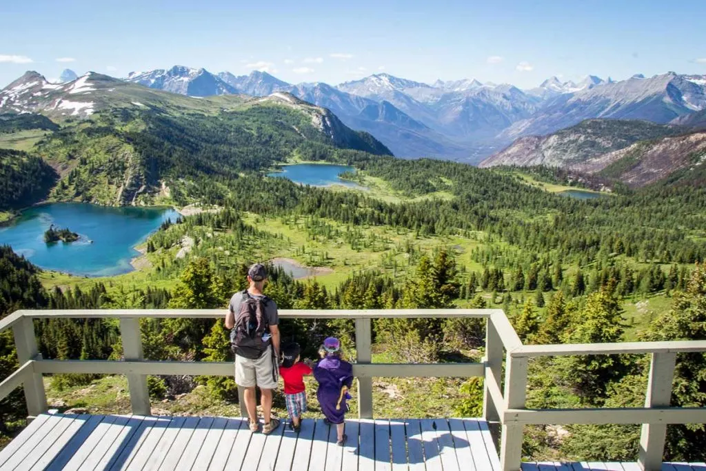 Hiking Sunshine Meadows Banff National Park