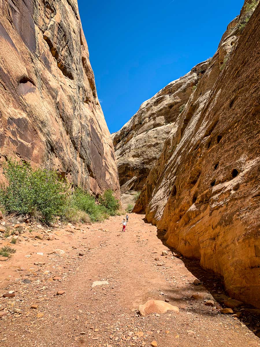 hiking with kids in Capitol Reef National Park