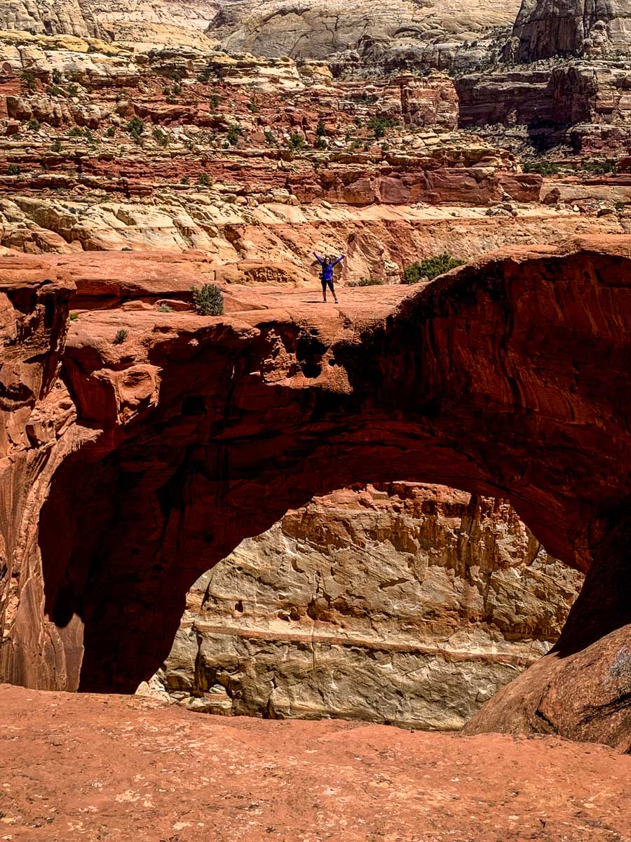 Cassidy Arch in Capitol Reef National Park Utah