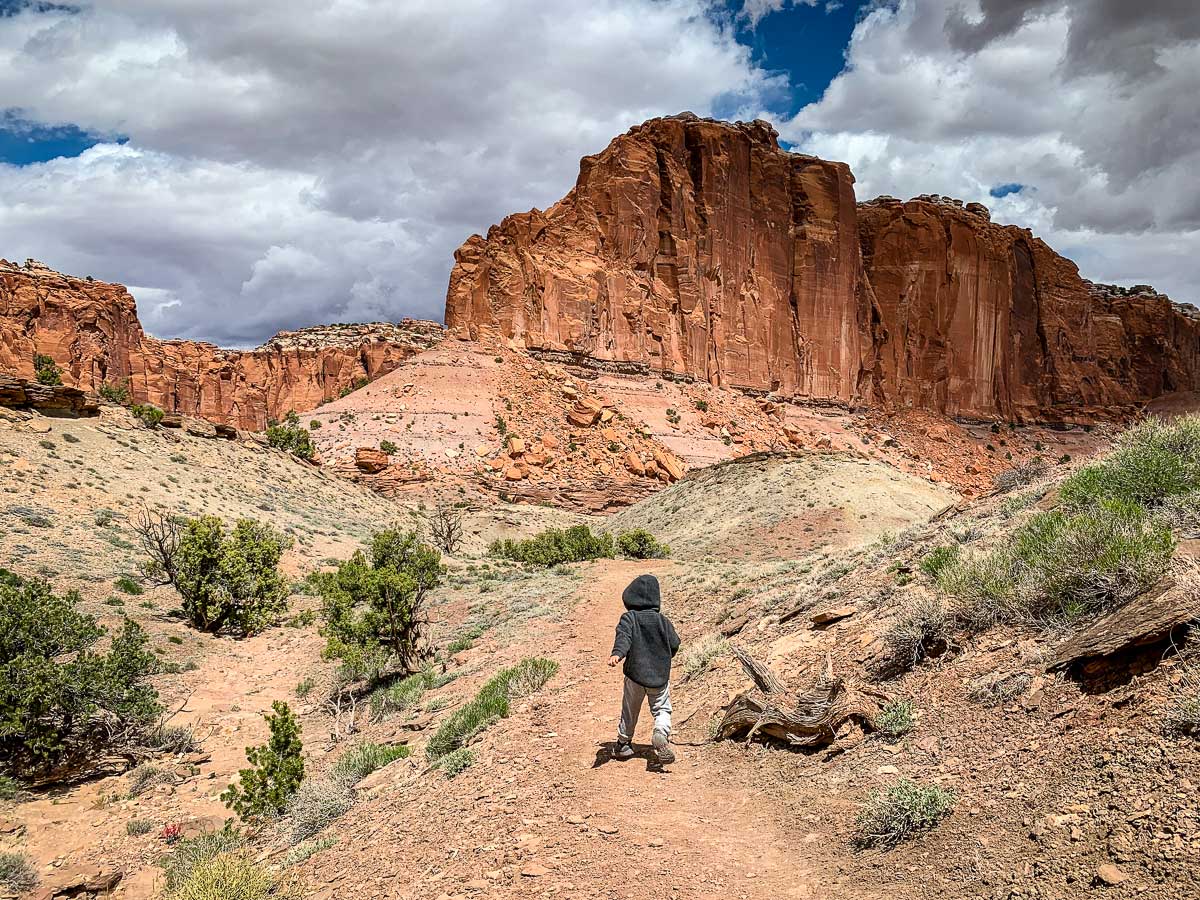 what to do in capitol reef national park