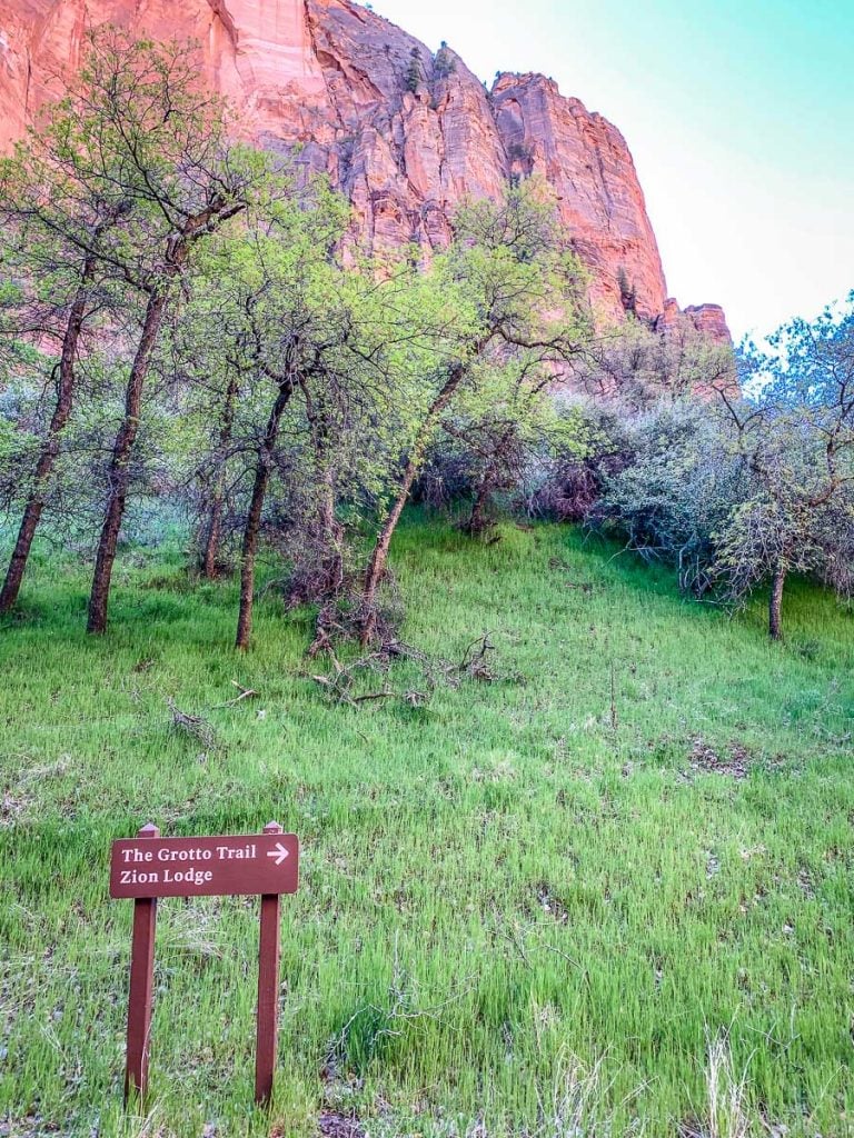 The easy Grotto Trail in Zion Canyon National Park