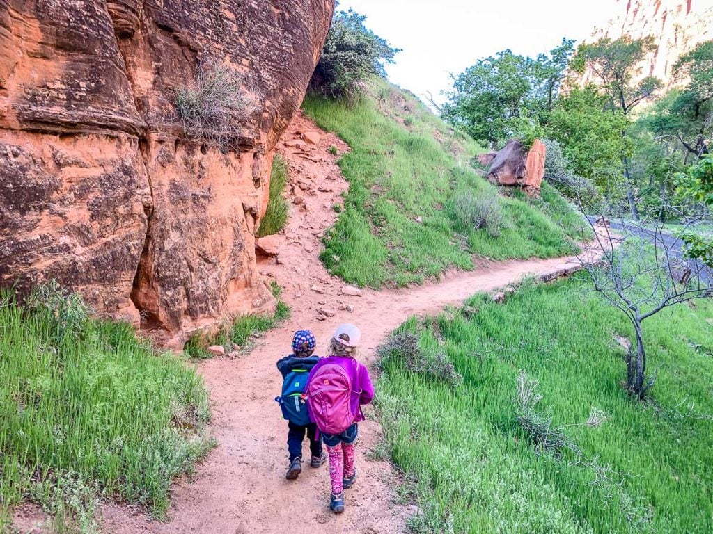 hiking with kids in Zion on the grotto trail
