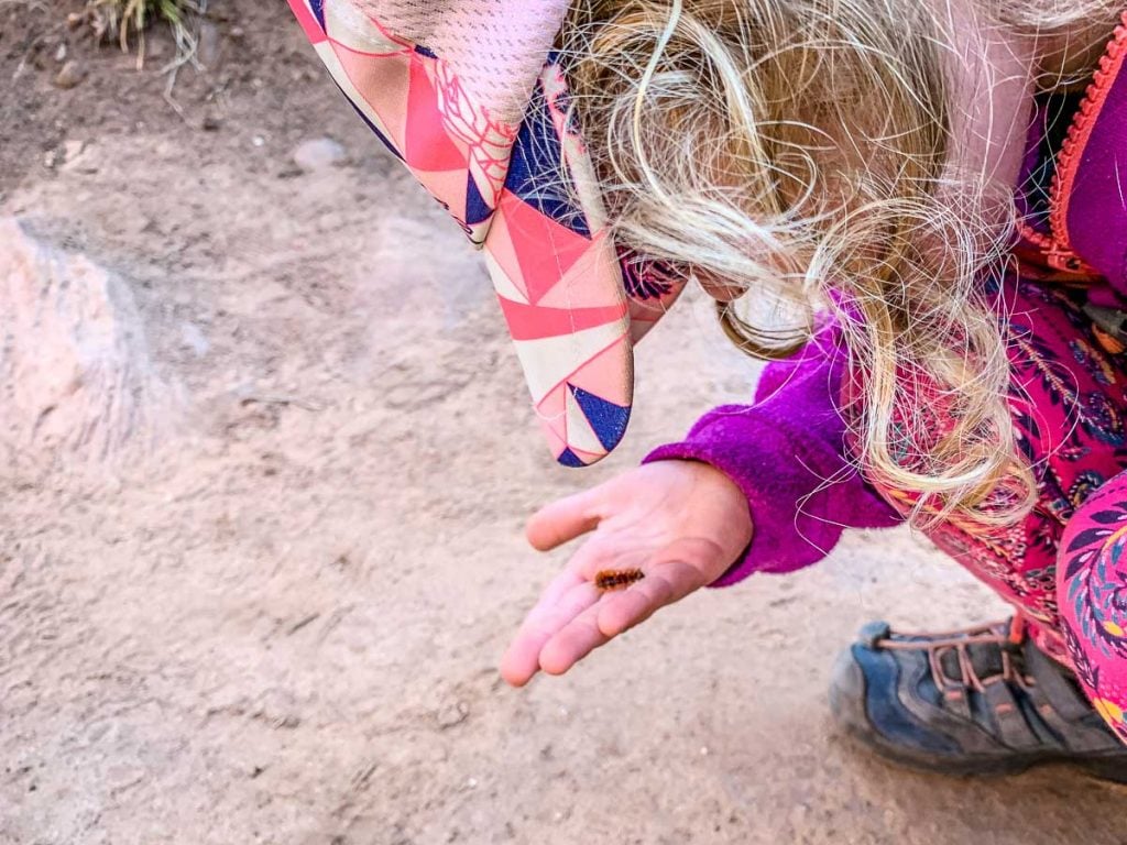 Hiking Grotto Trail in Zion with kids