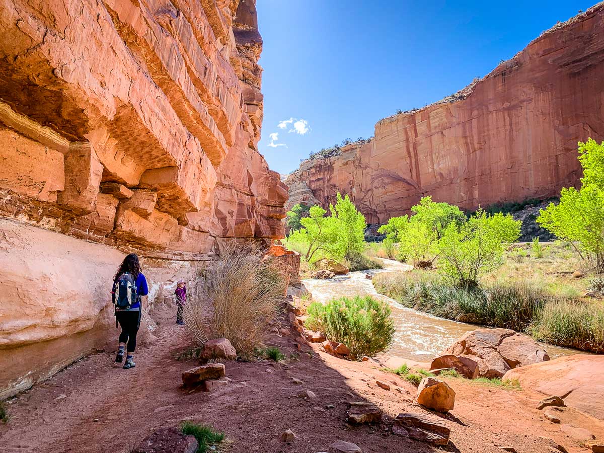 Hiking Hickman Bridge Trail in Capitol Reef National Park Family Can