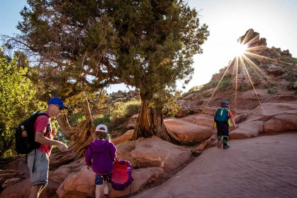 Delicate Arch Trail in Arches NP