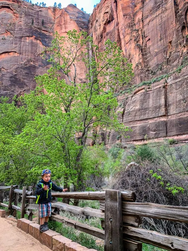 Zion Riverside Trail with Kids