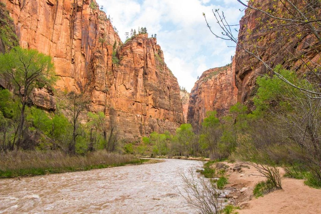 The Riverside Walk is a kid-friendly hike in Zion National Park, Utah.