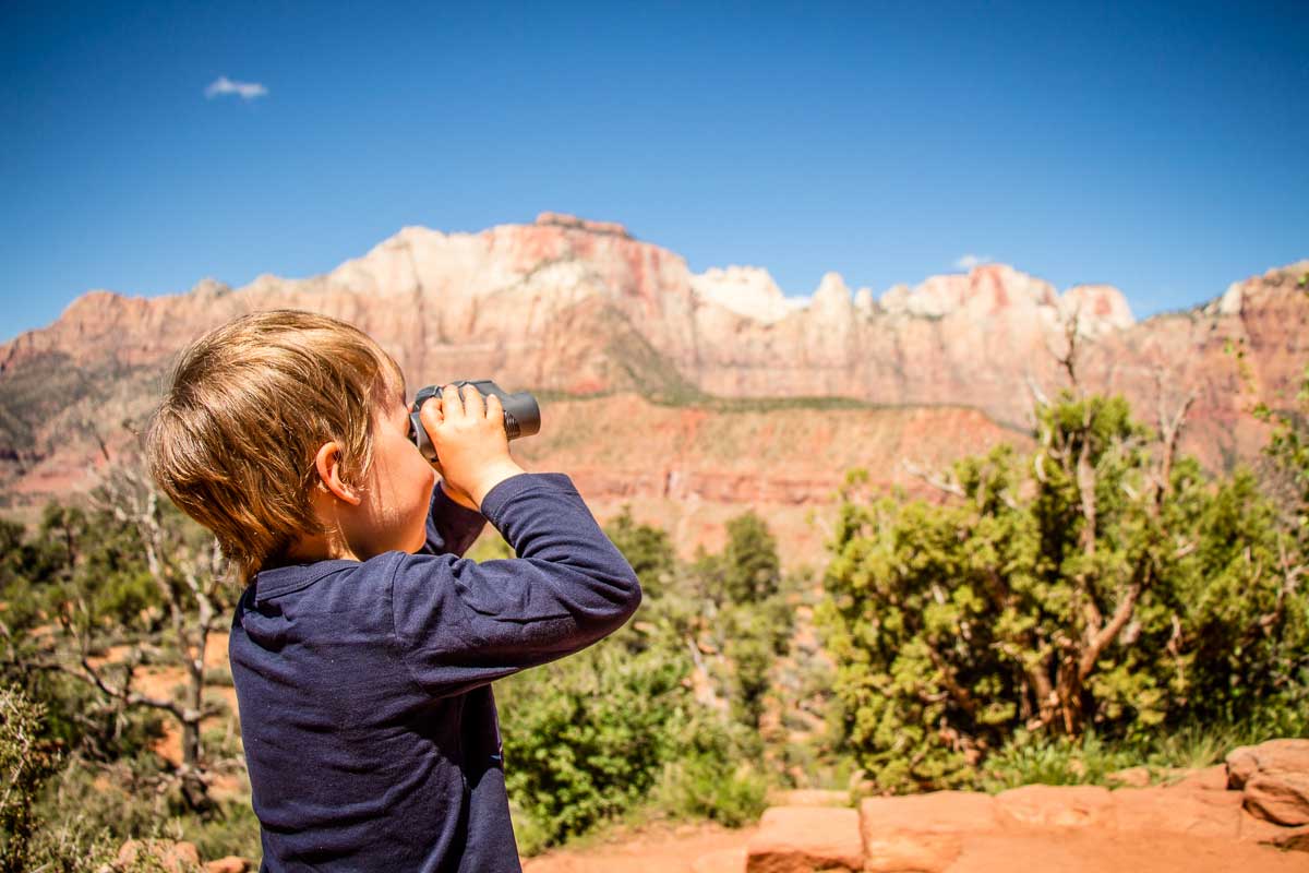 Looking at California Condors - the Watchman Zion