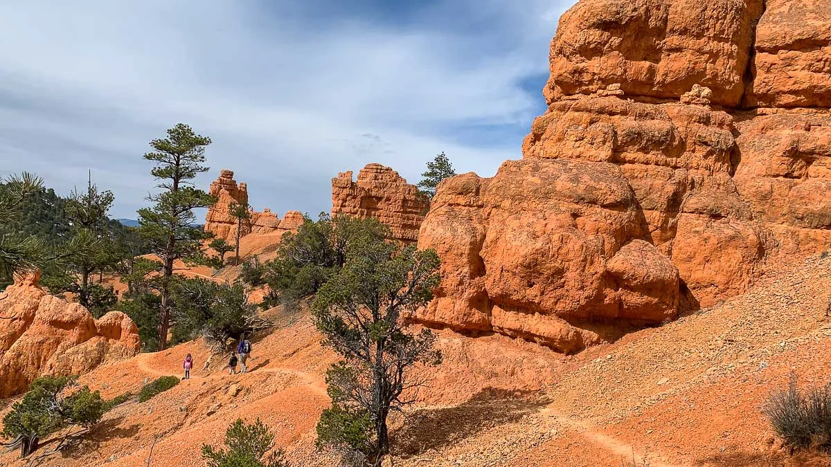 Bird's Eye Trail in Red Canyon