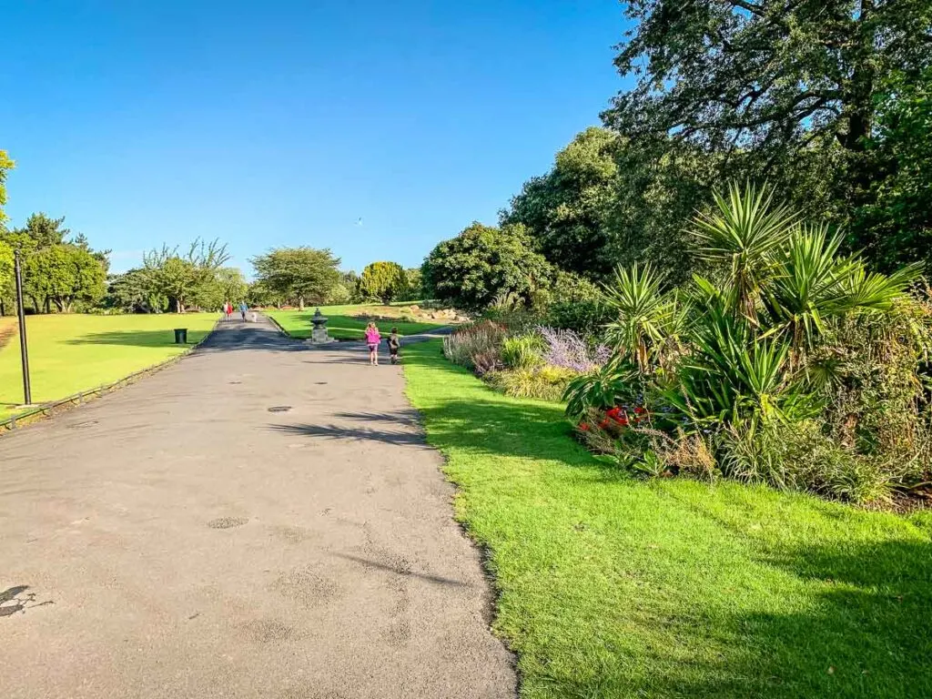 image of pathway in Phoenix Park Dublin