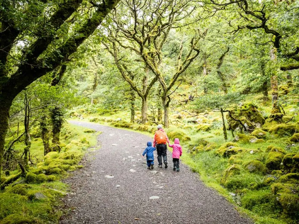 image of mother and children on road surrounded by lush forest in Killarney National Park Ireland