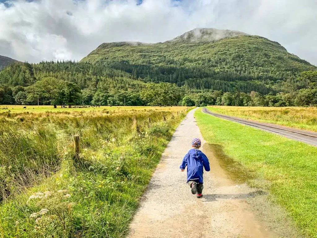 image of boy walking down path with the path and mountain in the distance in Killarney NP