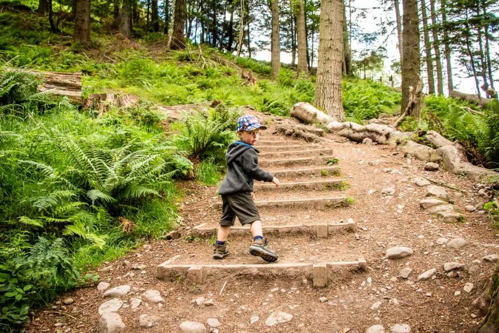 image of boy looking back at camera while hiking up steps on Conic Hill hike in Loch Lomond National Park Scotland