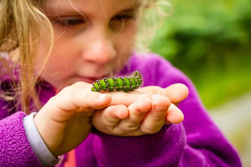 close up image of girl holding a green and pink caterpillar