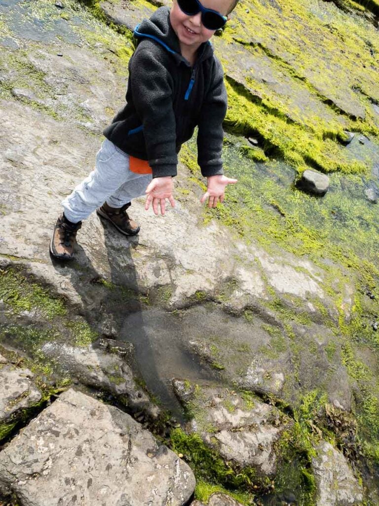 image of boy pointing out dinosaur tracks on slipaway beach isle of skye