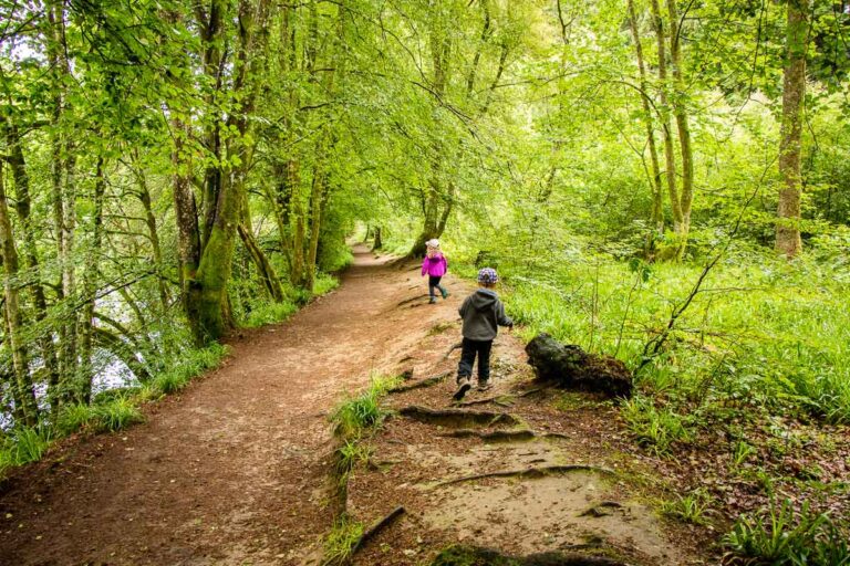 The Hermitage Woodland Walk in Tay Forest Park Family Can Travel