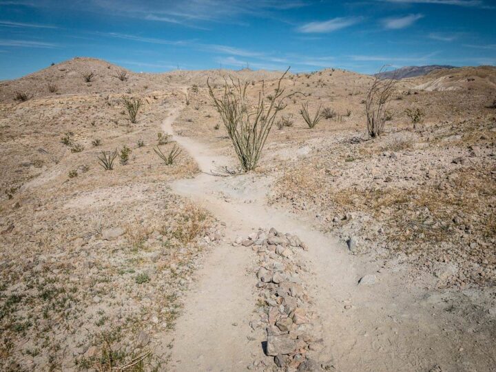 The Ladder Canyon Trail with Kids Family Can Travel