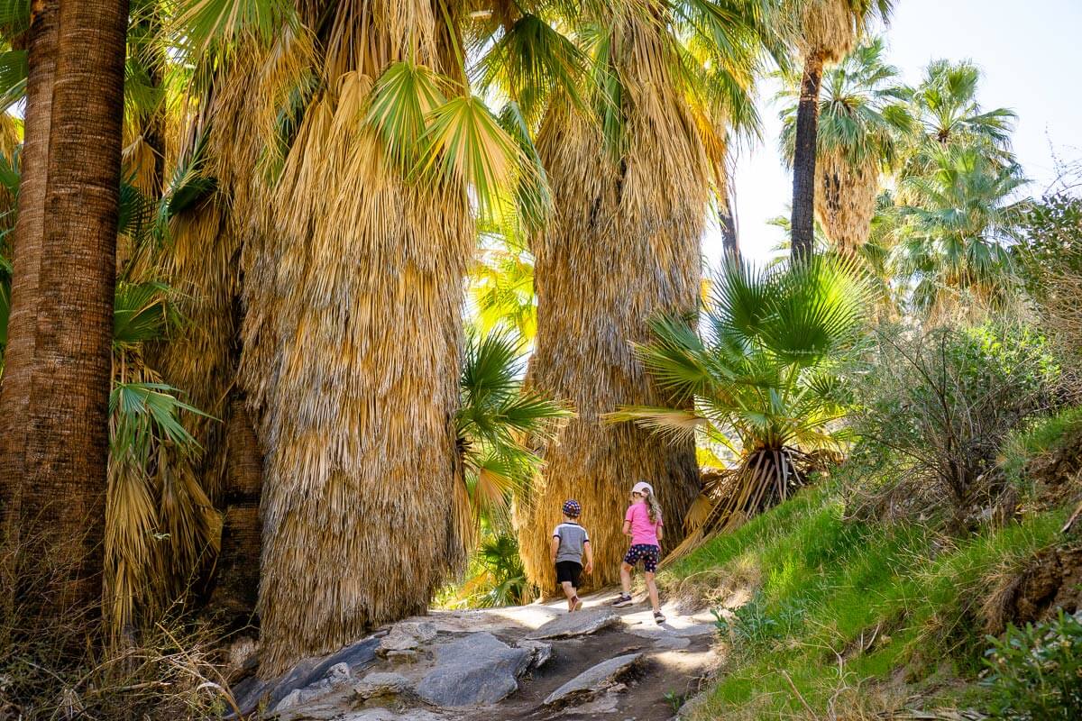 image of kids hiking one of the easy hikes near palm springs