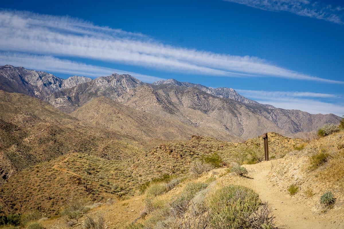 The 4 Best KidFriendly Palm Springs Hiking Trails Family Can Travel