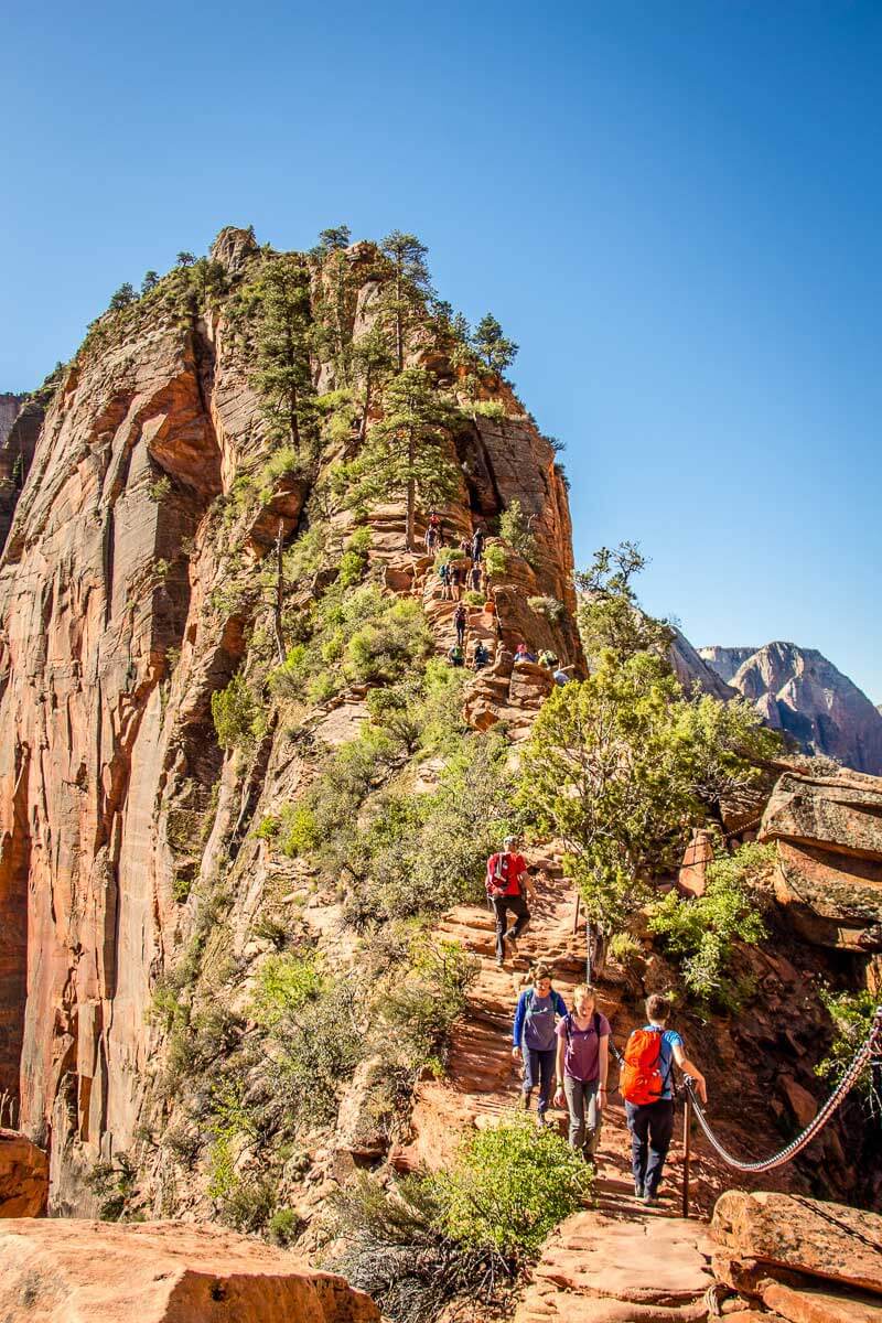 image of hikers on the hogsback on Angels Landing hike in Zion NP