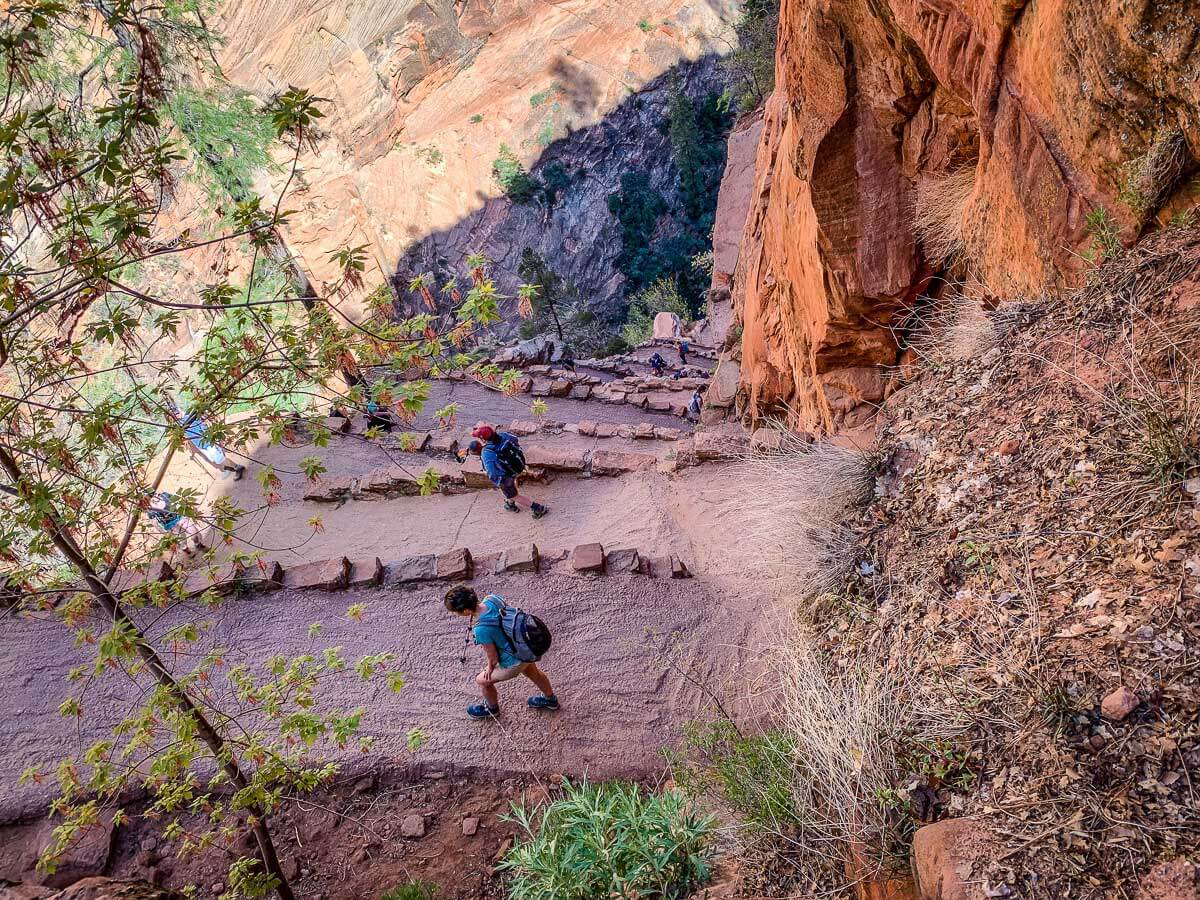 image of Walters Wiggles on Angels Landing trail in Zion