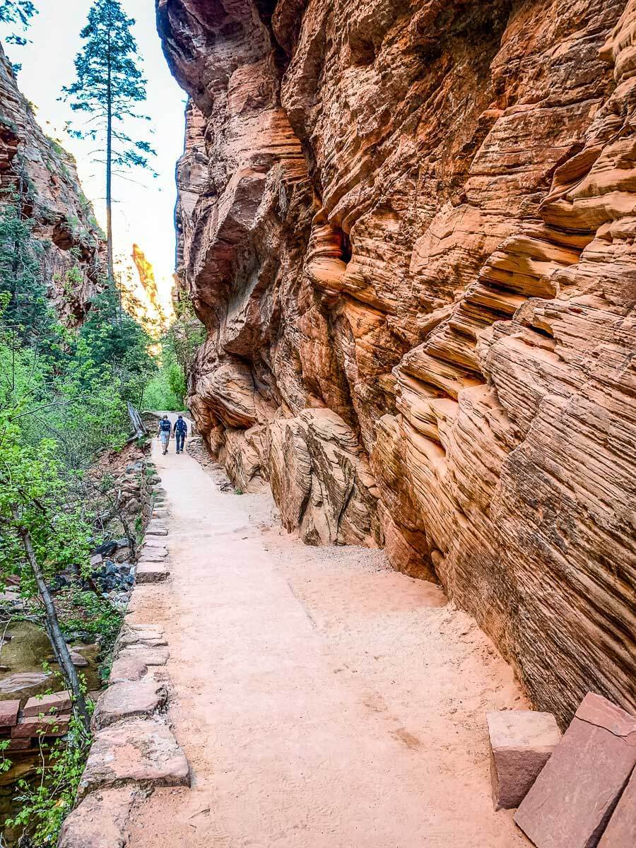 image of trail in Refrigerator Canyon on the way up to Angels Landing Utah