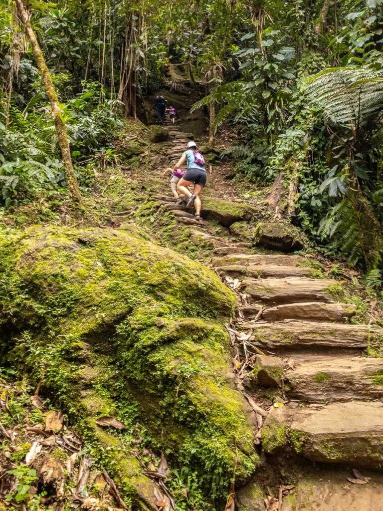 The 1200 steps from Camp 3 to the Lost City Colombia are steep